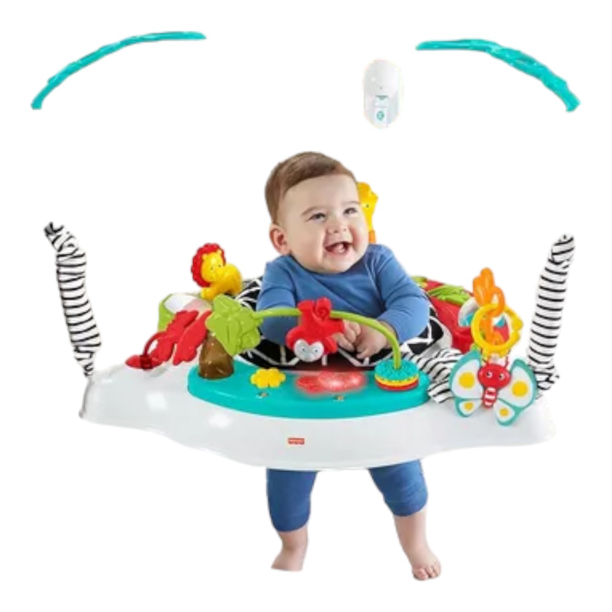 Silla Saltarina Fisher Price Bouncer Animal Wonders Fwy41.