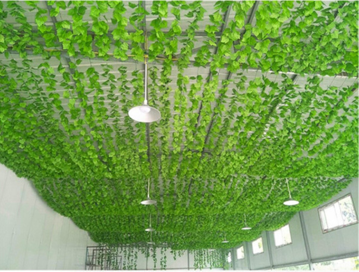 "24pz Enredaderas Artificiales Plantas Colgantes Decorativas "