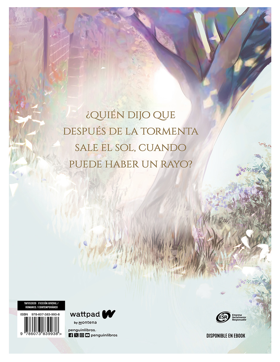 Libro Boulevard Edición Ilustrada Autor Flor M. Salvador .