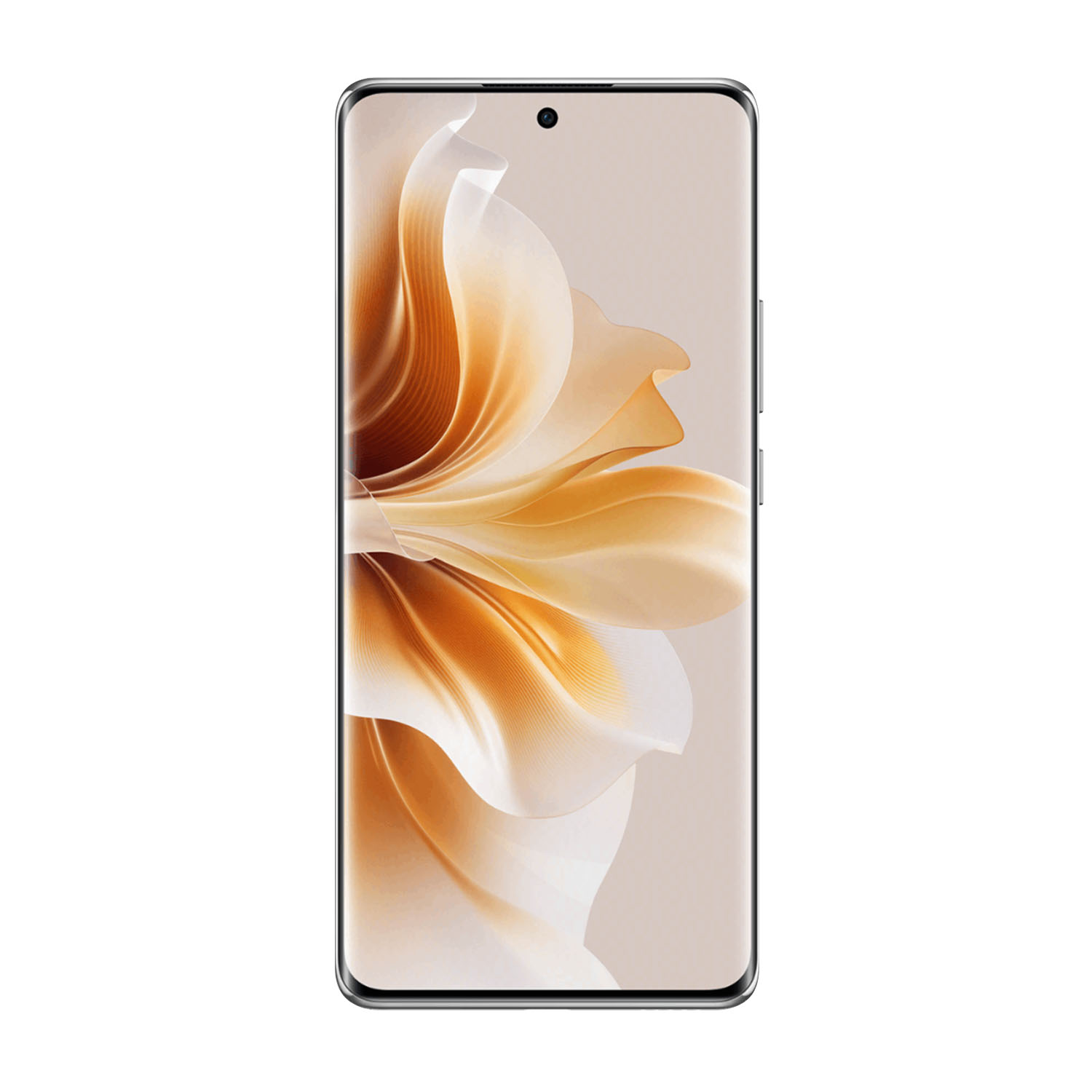 Oppo Reno 11 12GB 256GB 5G Gris