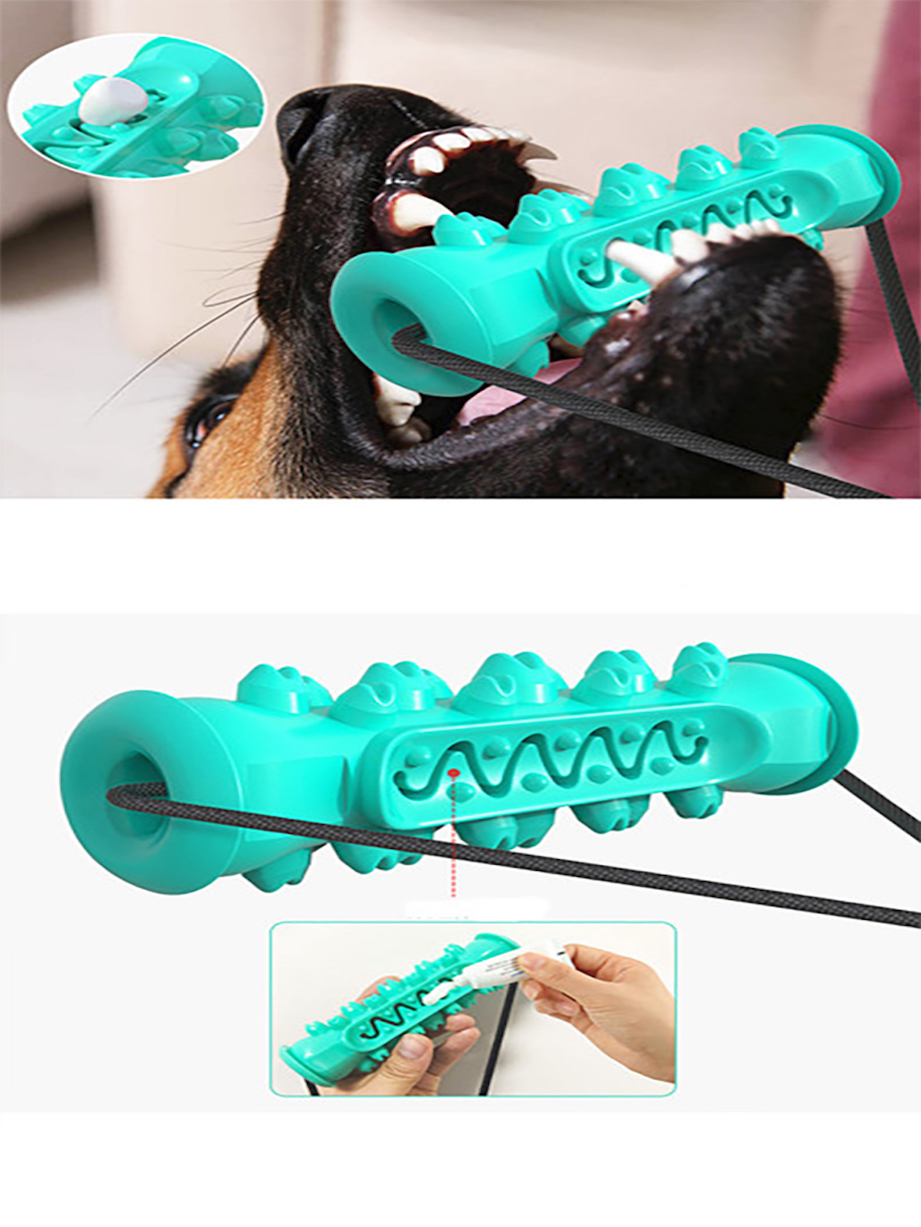 Juguete para Mascota con Mordedera y Doble Ventosa