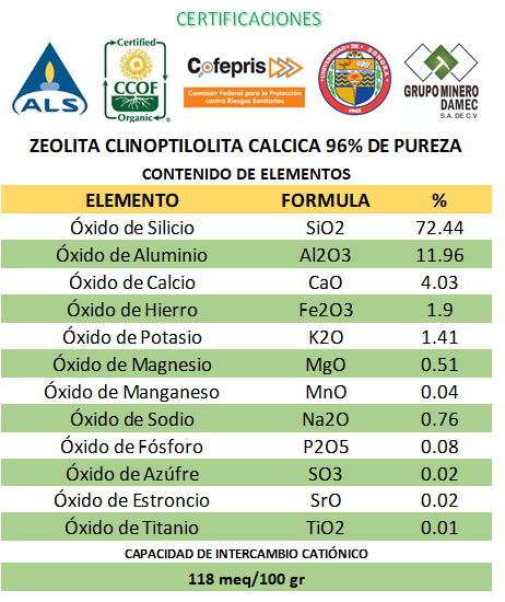 Frasco con 60 capsulas de Zeolita micronizada 96% de pureza activada para consumo humano