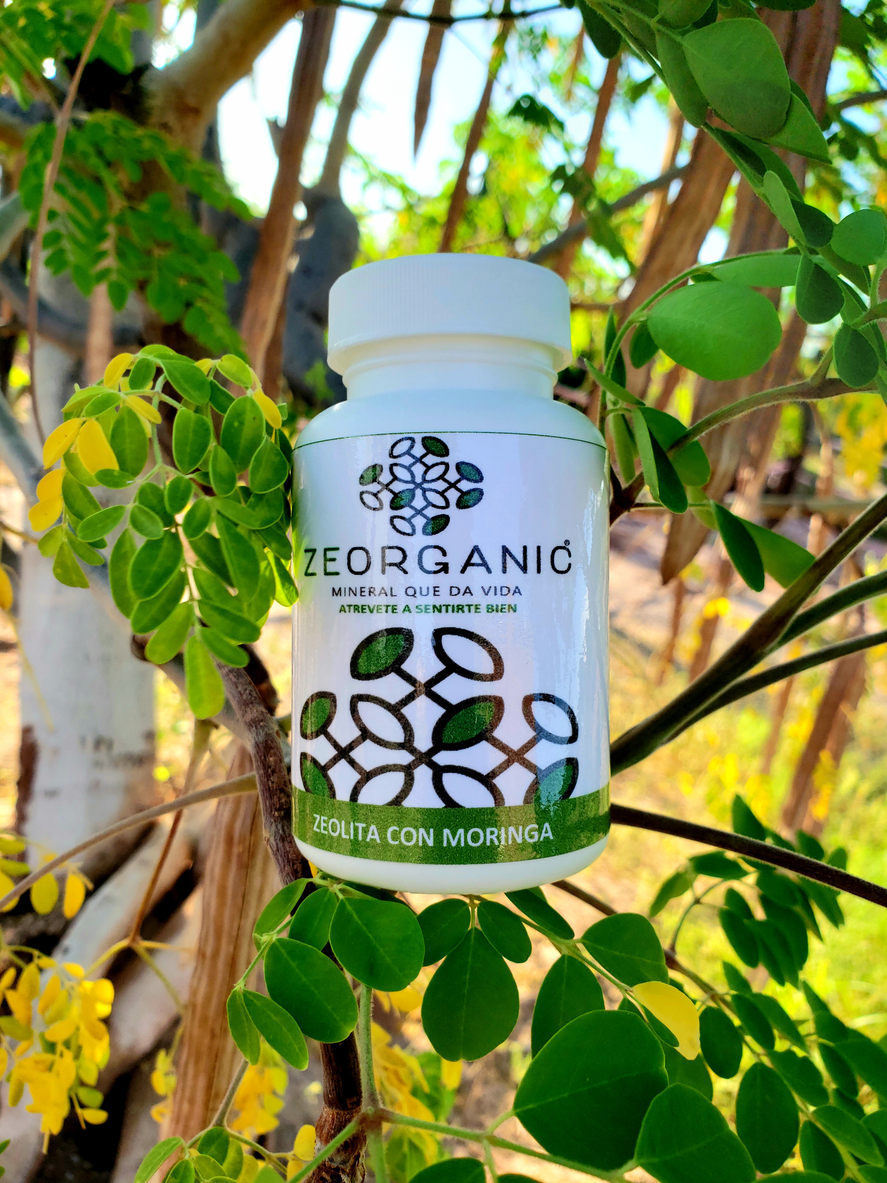Frasco con 60 cápsulas de zeolita micronizada con moringa orgánica para consumo humano