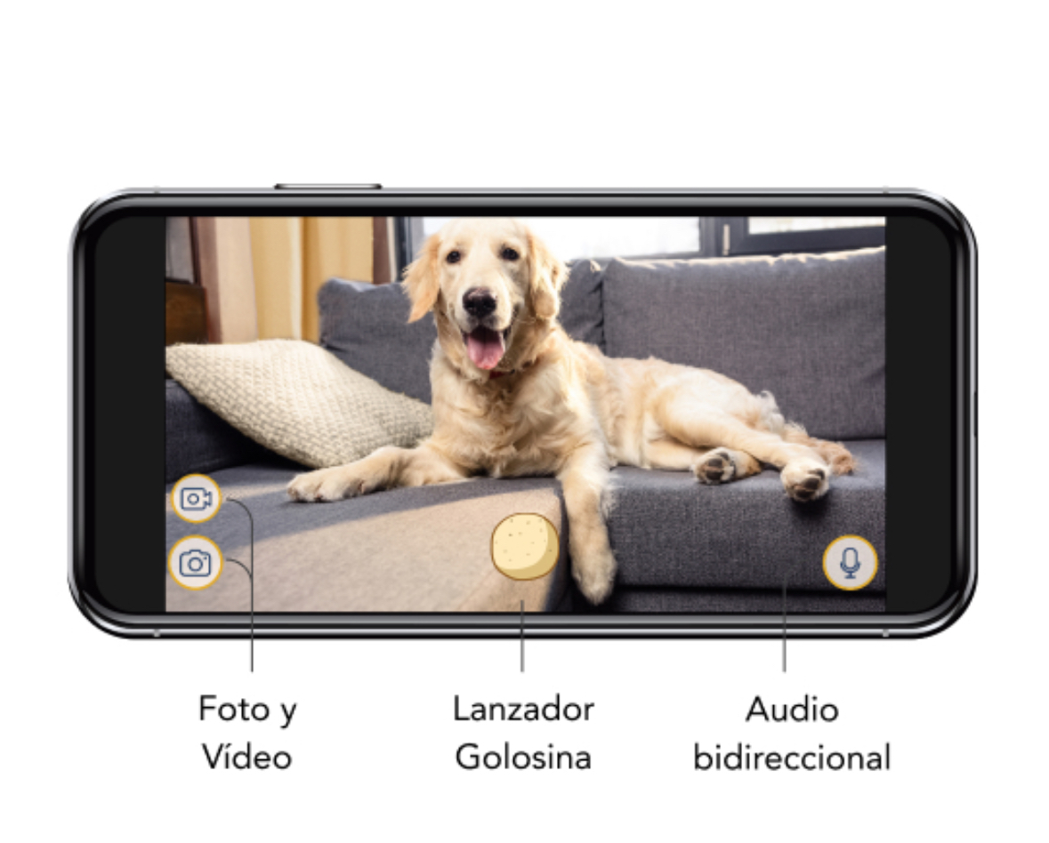 Furbo Dog Camara Wifi Mascotas Con Funciones Interactivas Color Blanco