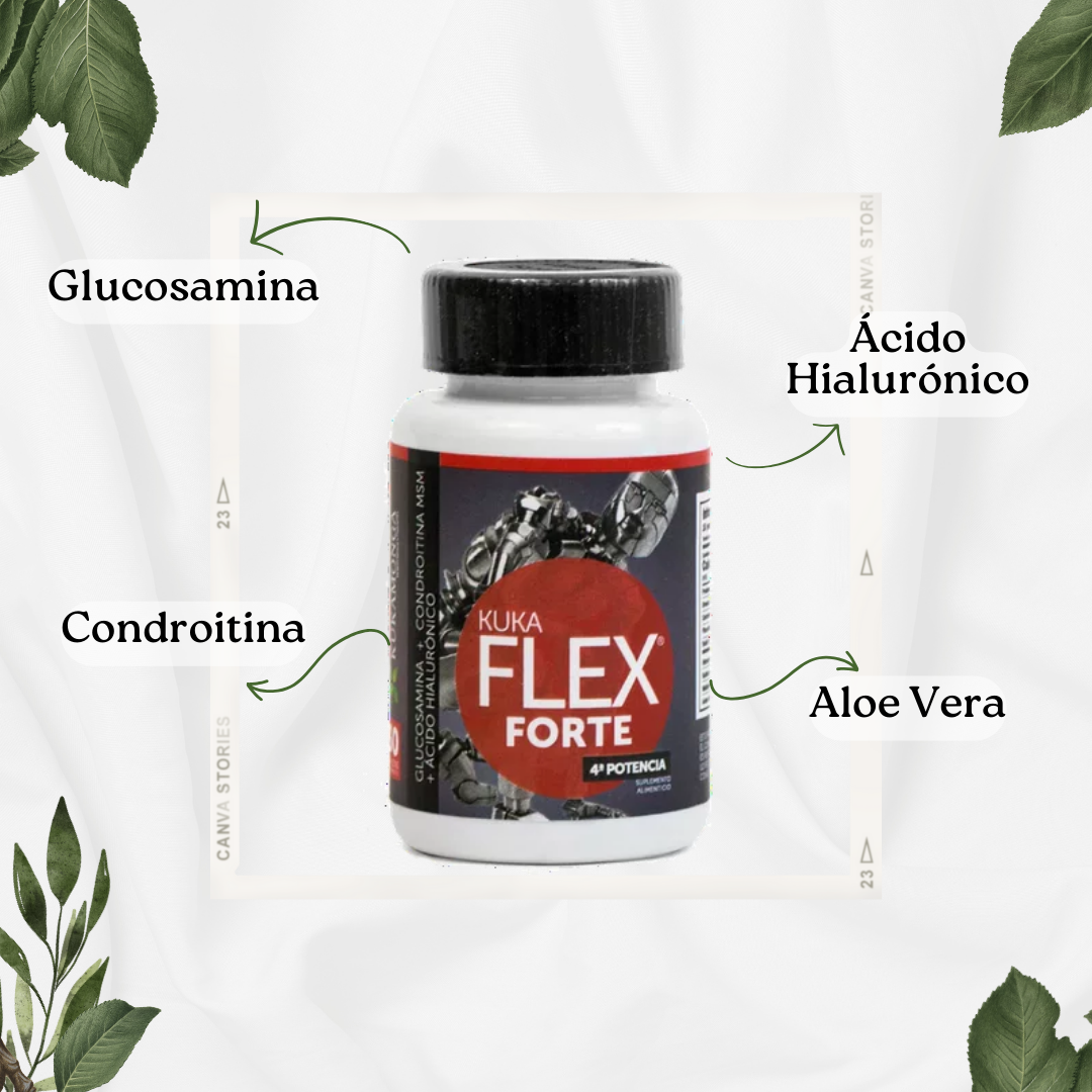 3 KUKA FLEX FORTE