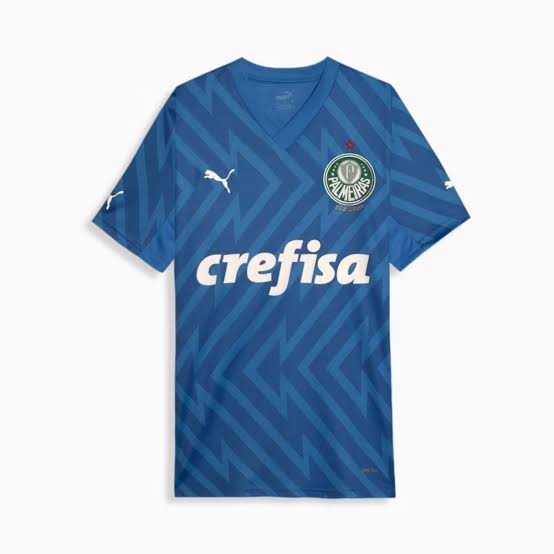 Nuevo! Jersey Palmeiras du Brasil 2024/2025 Portero Arquero Azul Talla S.