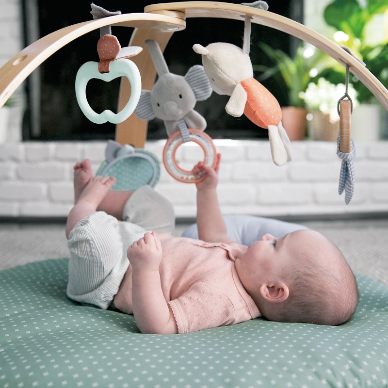 Gimnasio Interactivo INGENUITY Cozy Spot Loamy.