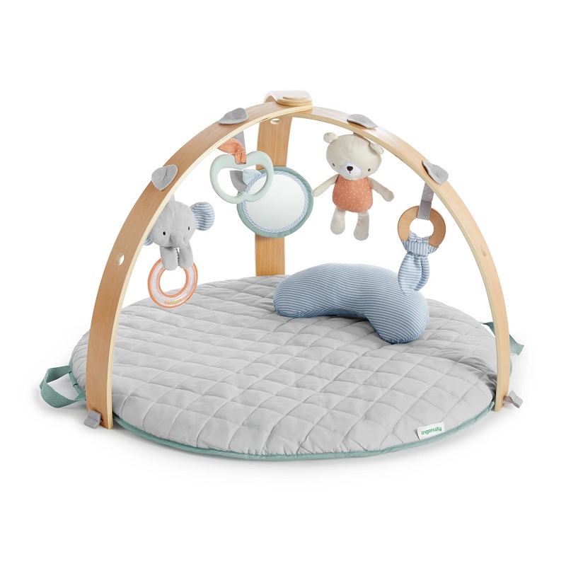 Gimnasio Interactivo INGENUITY Cozy Spot Loamy.