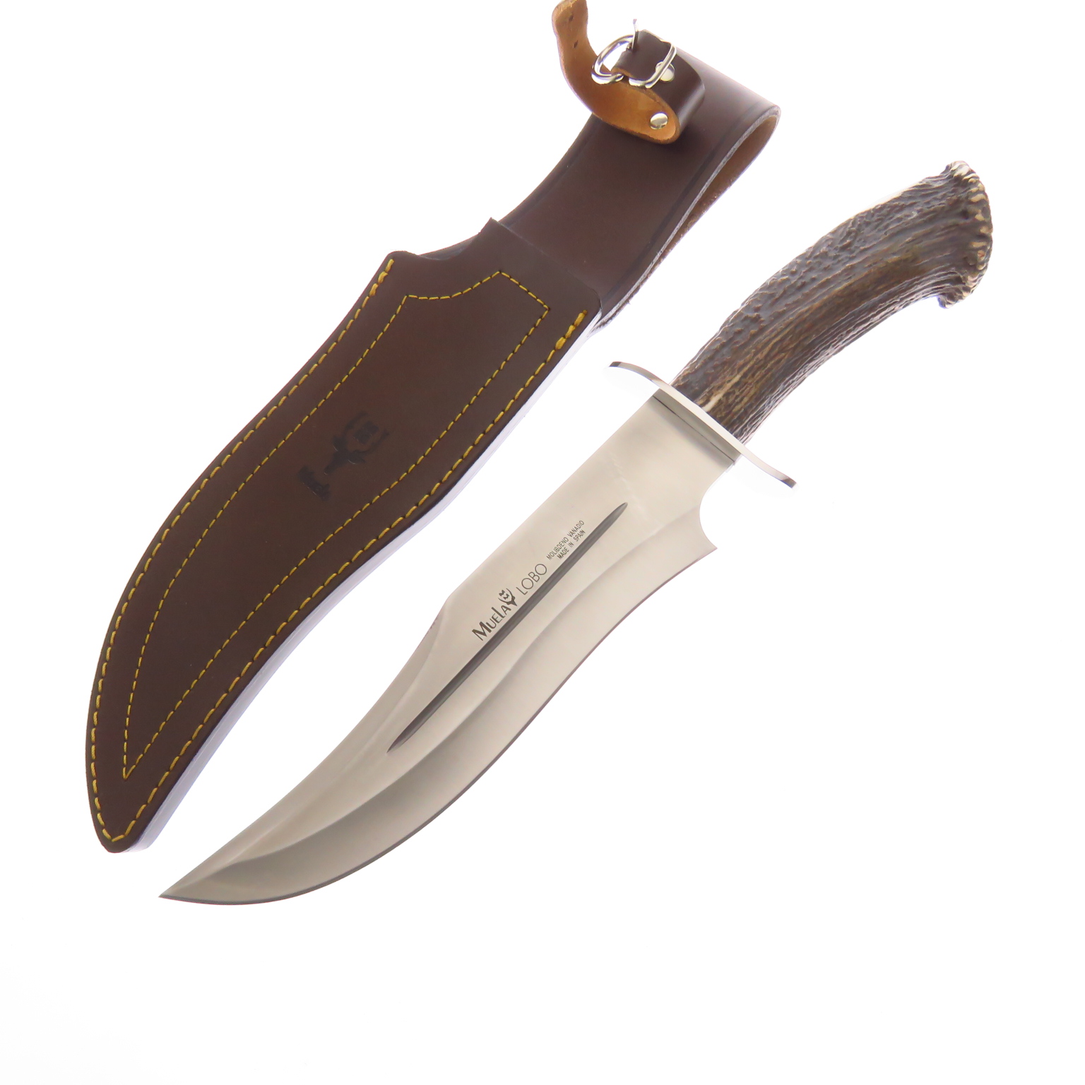 Cilob23s Muela Lobo 23s Cuchillo Caceria Asta Venado C/fd