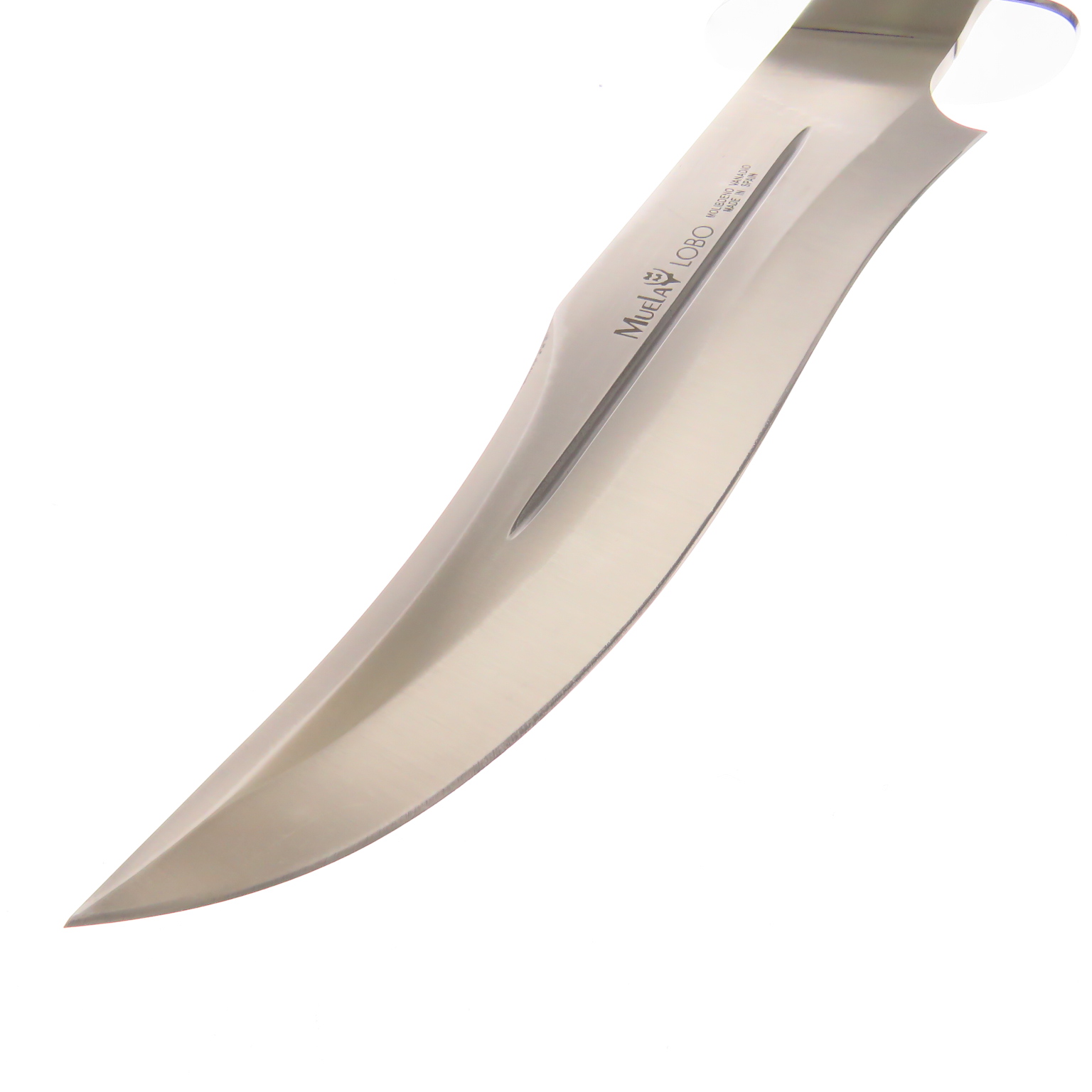 Cilob23s Muela Lobo 23s Cuchillo Caceria Asta Venado C/fd