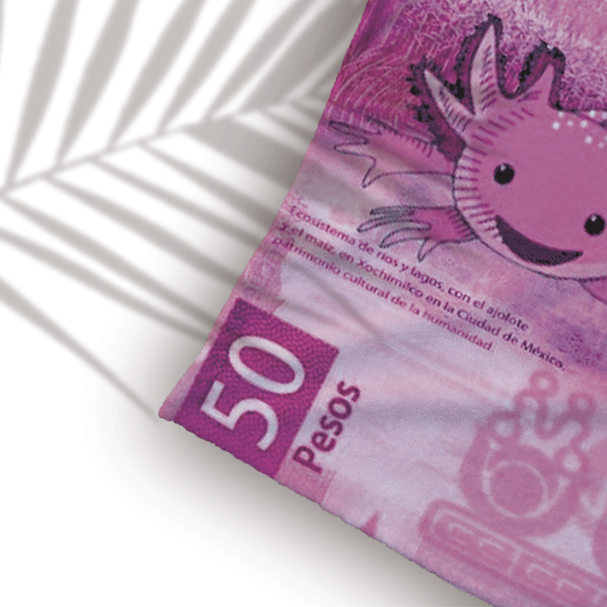 Toalla de Baño Diseño de Ajolote Billete de 50 pesos Ligera Y Suave Alta Calidad.