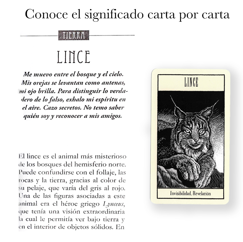 Oraculo Animales Sagrados Sabiduria Antigua Y Espiritual