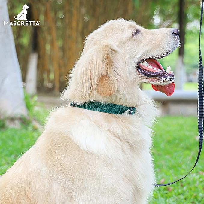 MASCRETTA Collar para Perro con diseño Ajustable de Algodón Compatible con Cualquier Correa. Collar para Razas Chicas, Medianas o Grandes. Collar para Perro y Gato. Dog Collar (Azul, S).