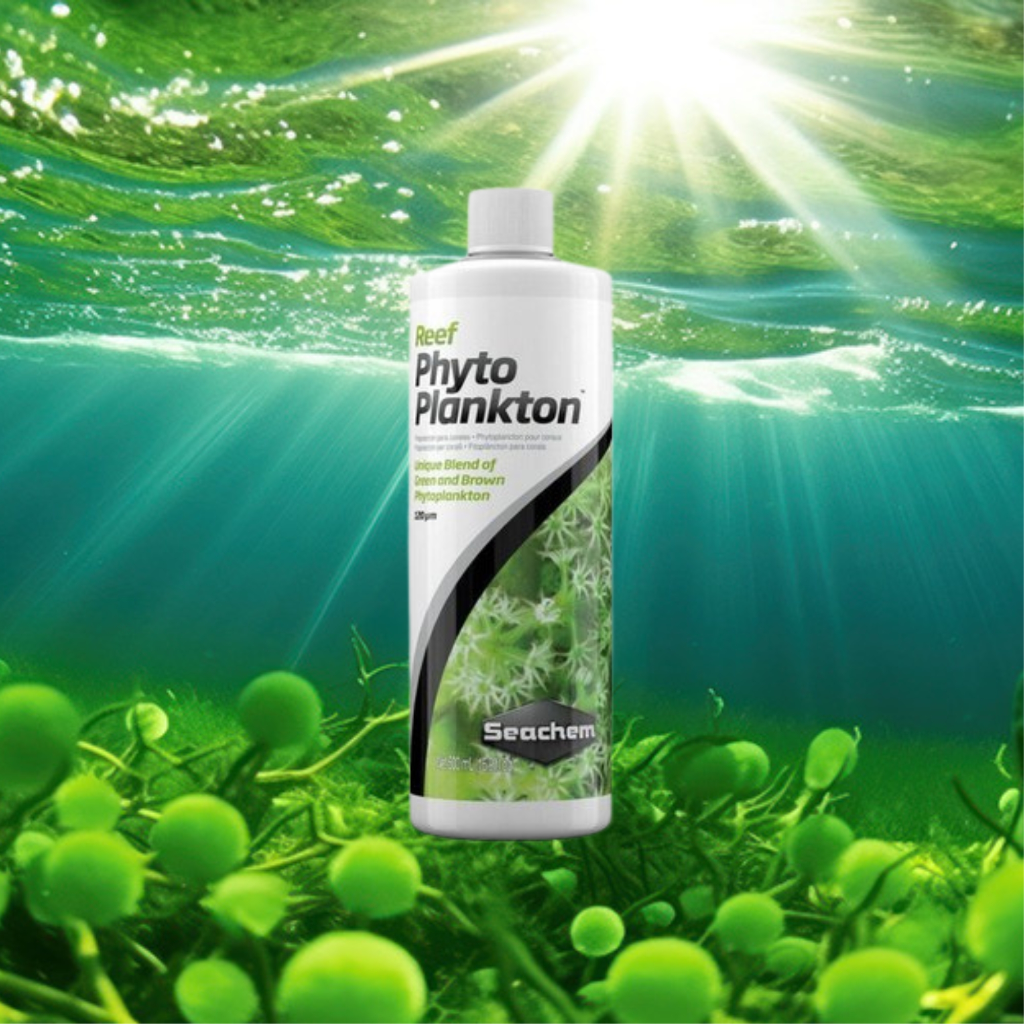 Acondicionador reef phytoplankton seachem 300 ml.