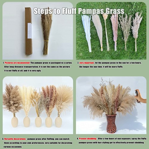 "Plantas Decorativas 100pcs Pampas Secas Flores Artificiales "