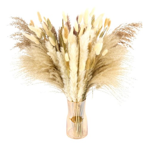 "Plantas Decorativas 100pcs Pampas Secas Flores Artificiales "