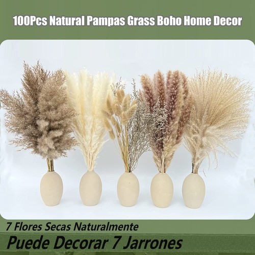 "Plantas Decorativas 100pcs Pampas Secas Flores Artificiales "