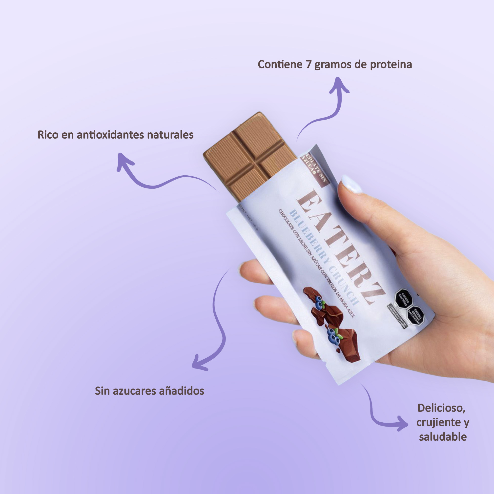EATERZ | Barras de Chocolate con Leche Sin Azúcar con Trozos de Mora Azul, Blueberry Crunch - 6 Piezas.