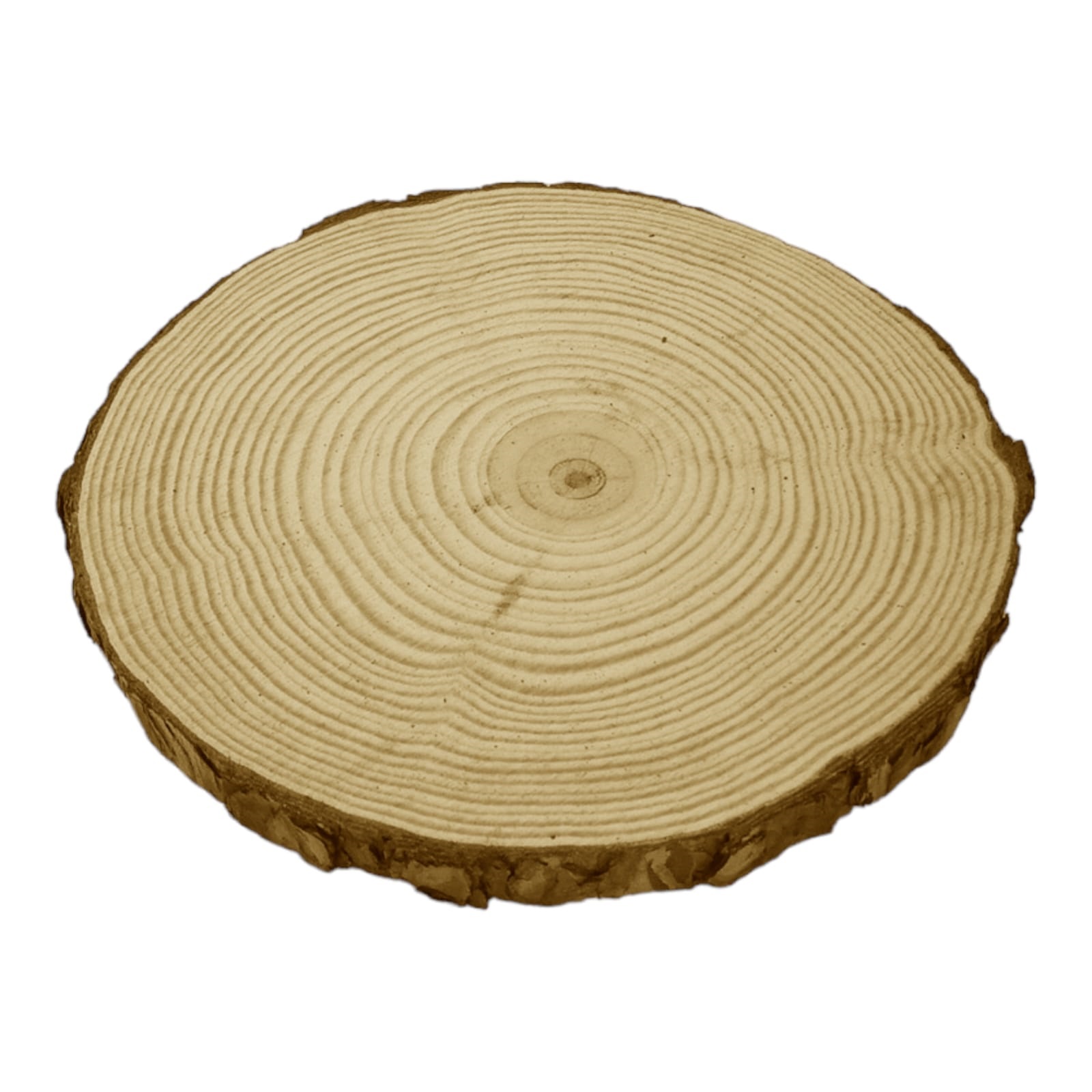 6 Rodajas De Madera Rústica Para Decoración 21 X 2 Cm