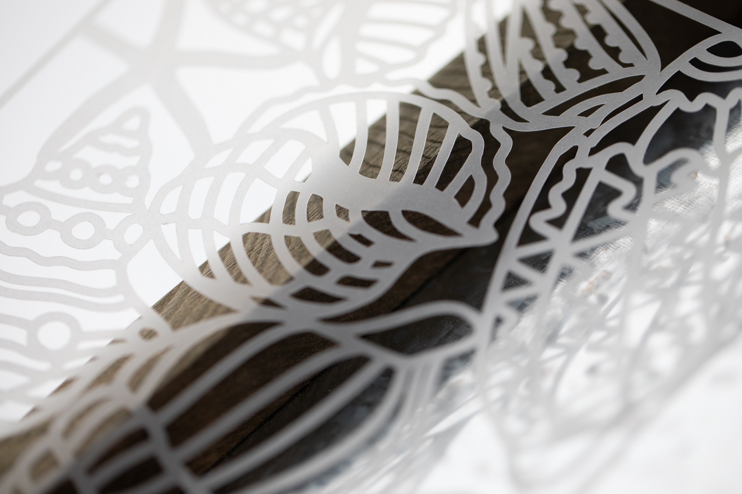 Plotter de Corte Silhouette Curio 2.