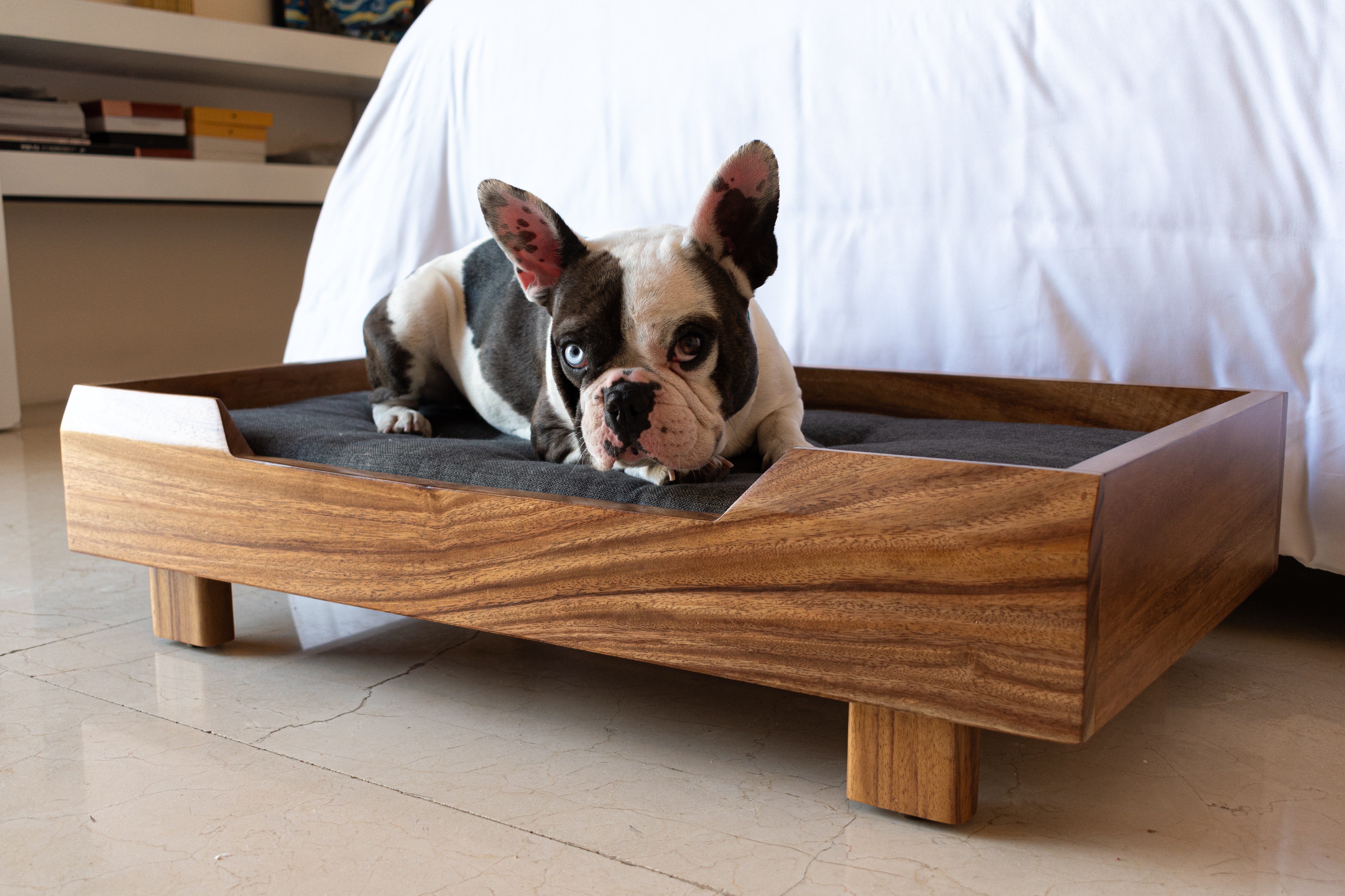 Cama para Perro | Fabricada en Madera de Parota Sólida | Cama con Cojín de Espuma de Poliuretano y Cubierta de Poliéster | Tamaño Mediano | Cama Elevada