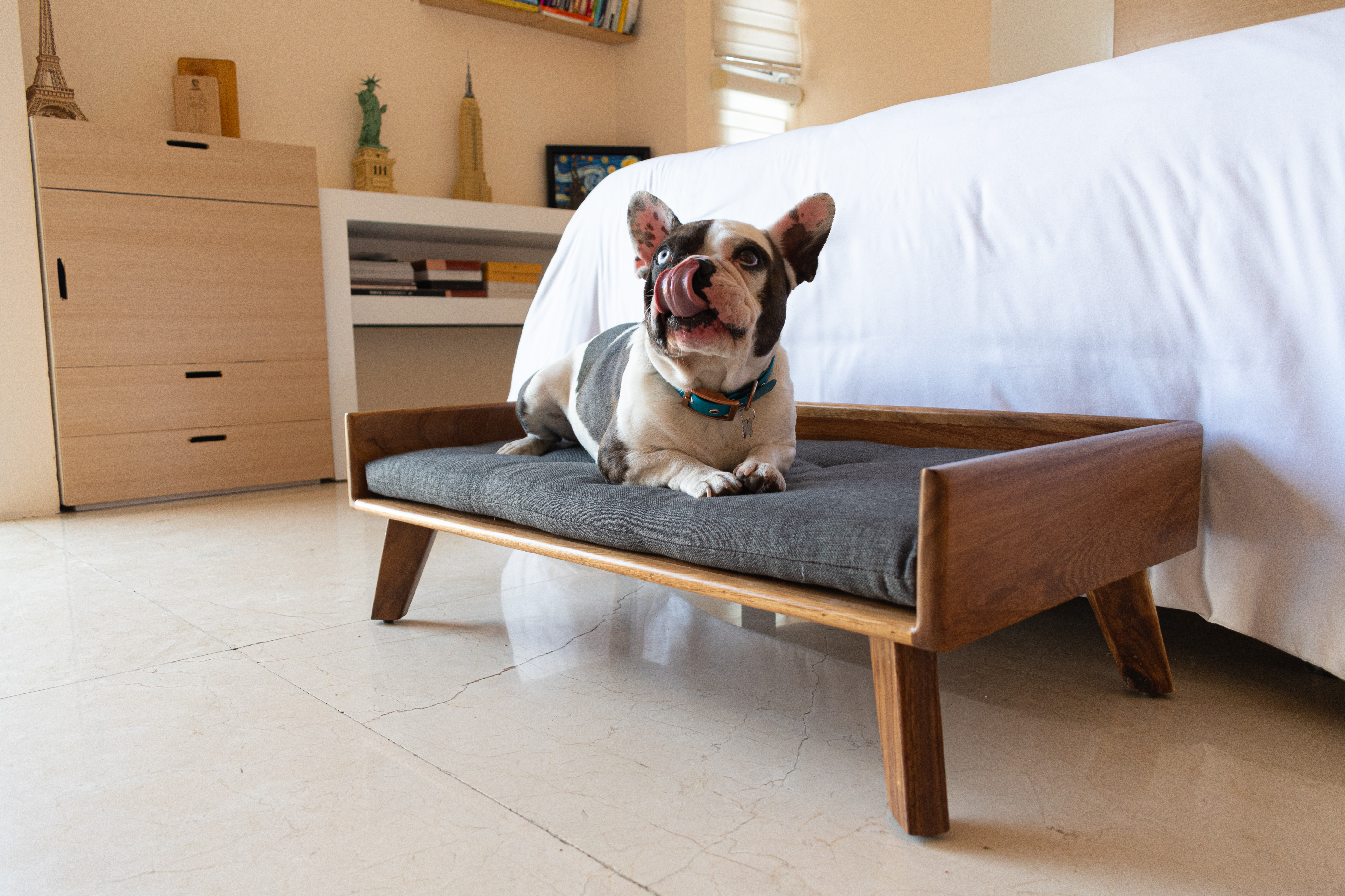 Cama para Perro | Fabricada en Madera de Parota Sólida | Cama con Cojín de Espuma de Poliuretano y Cubierta de Poliéster | Tamaño Chico | Cama Elevada