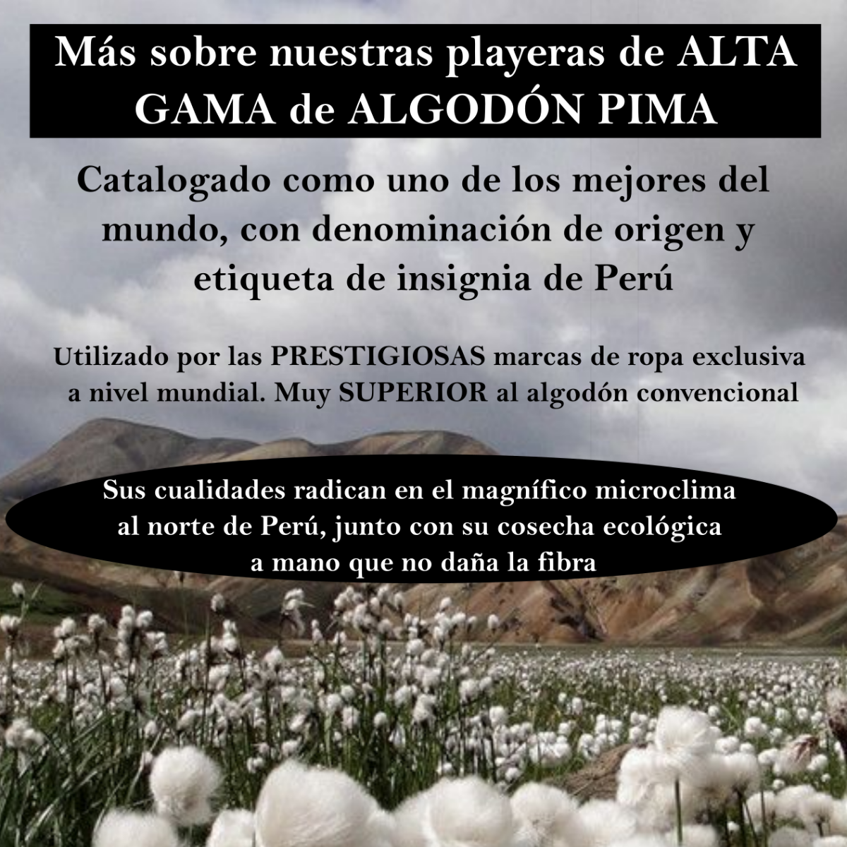 FINA playera Hombre Alta gama Reg y Slim fit Nosferatu vampiro Bar antro Halloween