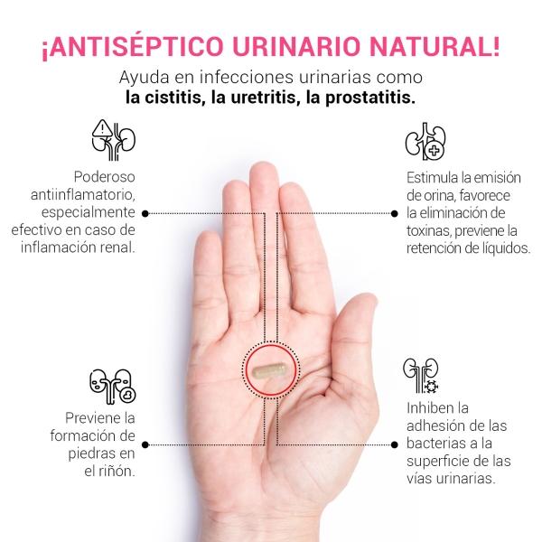 Complejo Para Tracto Urinario De 180 Cápsulas, B Life