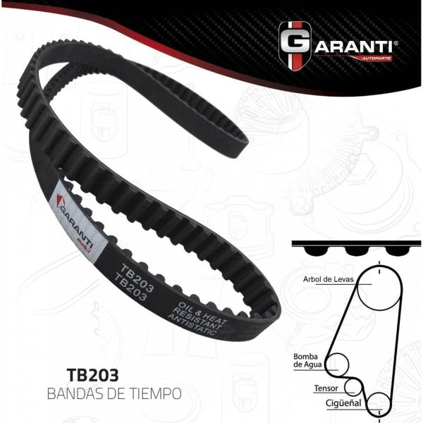 Banda Poly V Para Peugeot 206 1987 - 2008 (Garanti) 