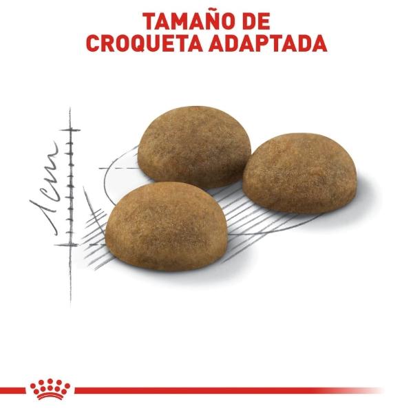 Alimento Croqueta Gato Adulto Indoor 1.36kg Royal Canin