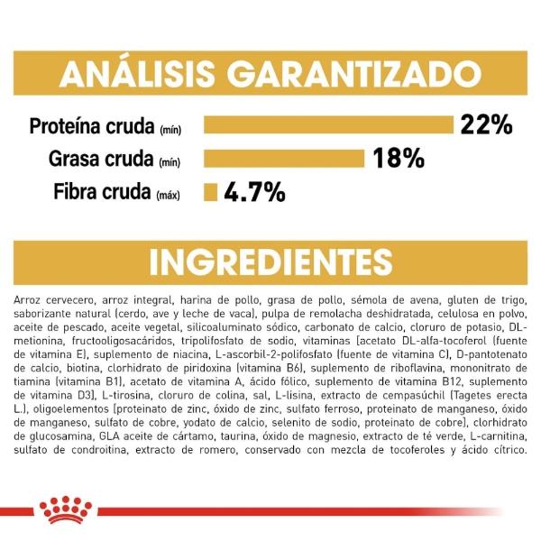 Alimento Croqueta Gato Adulto Indoor 1.36kg Royal Canin
