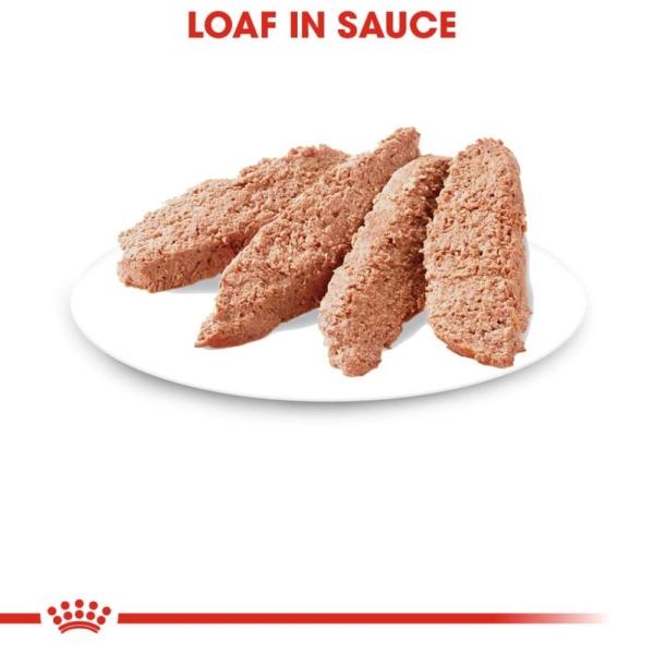 Alimento Húmedo Gato Adulto Weight Care 145g Royal Canin