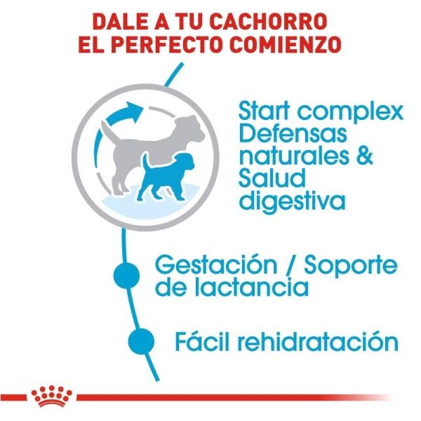 Croquetas Perro Cachorro Raza Pequeña 1.14kg Royal Canin