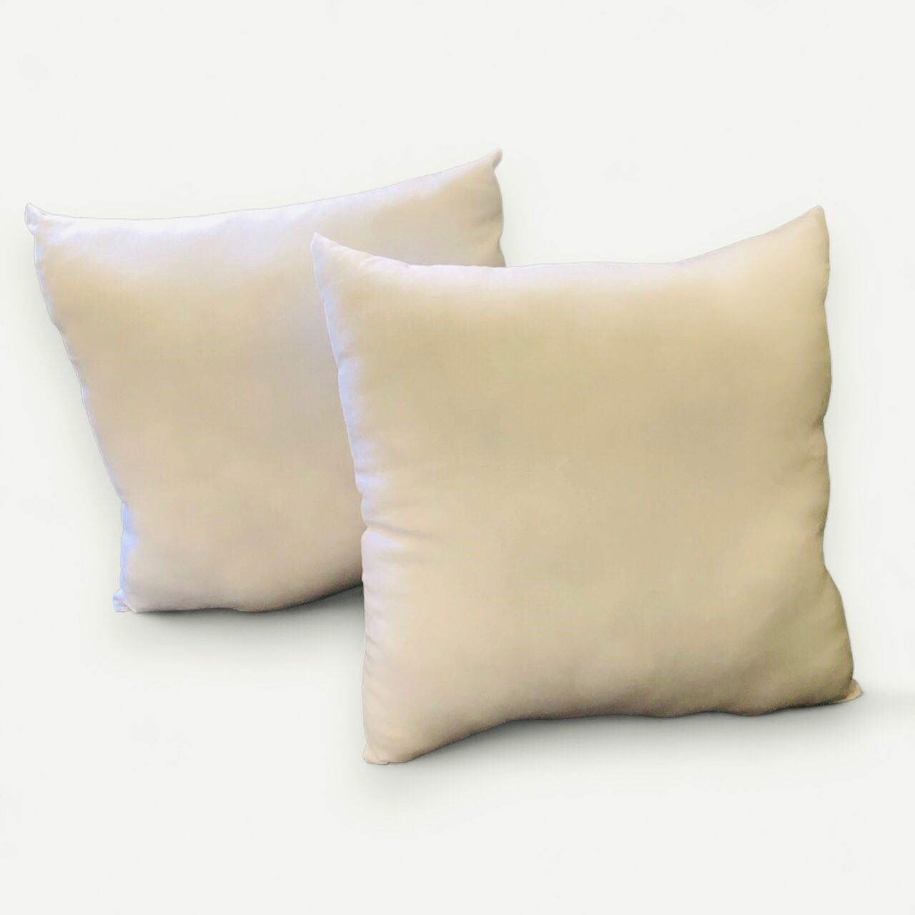 Pack 2 Relleno Cojin Medida 45x45 Delcrón suave