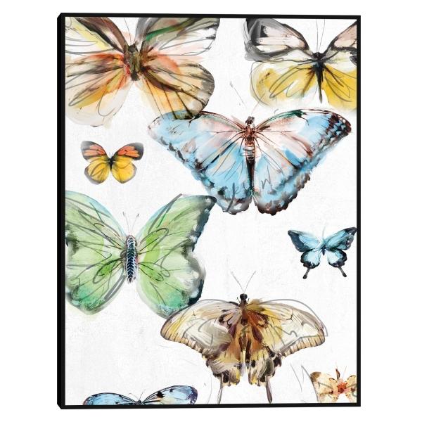 Cuadro Decorativo - Los Papillons I 107 cm x 81 cm