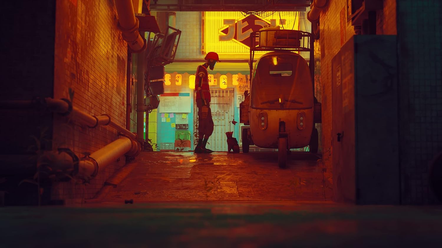 Stray para  PlayStation 5