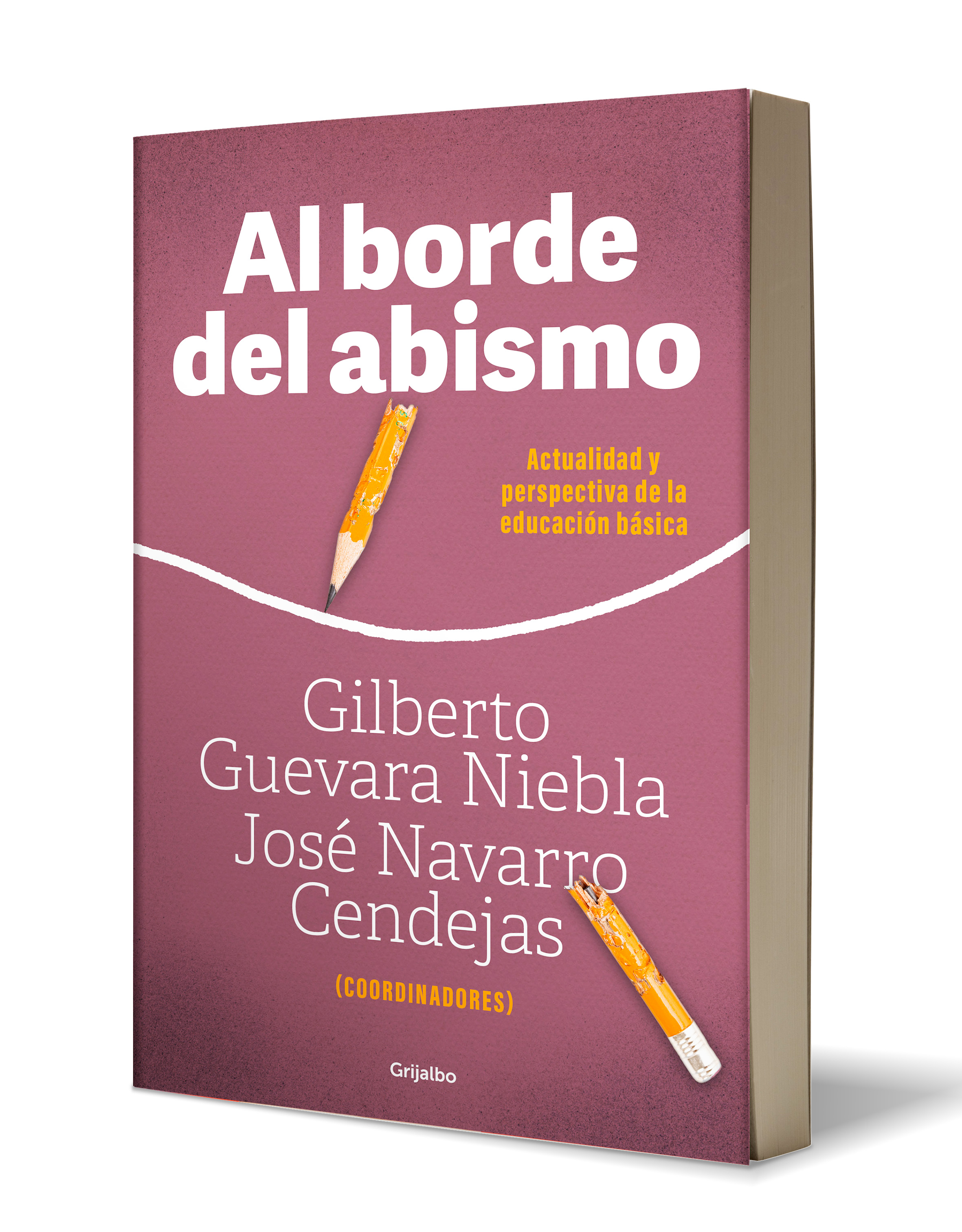 Libro Al Borde del Abismo Autor Gilbeto Gevara Niebla/Cendeja Navarro.