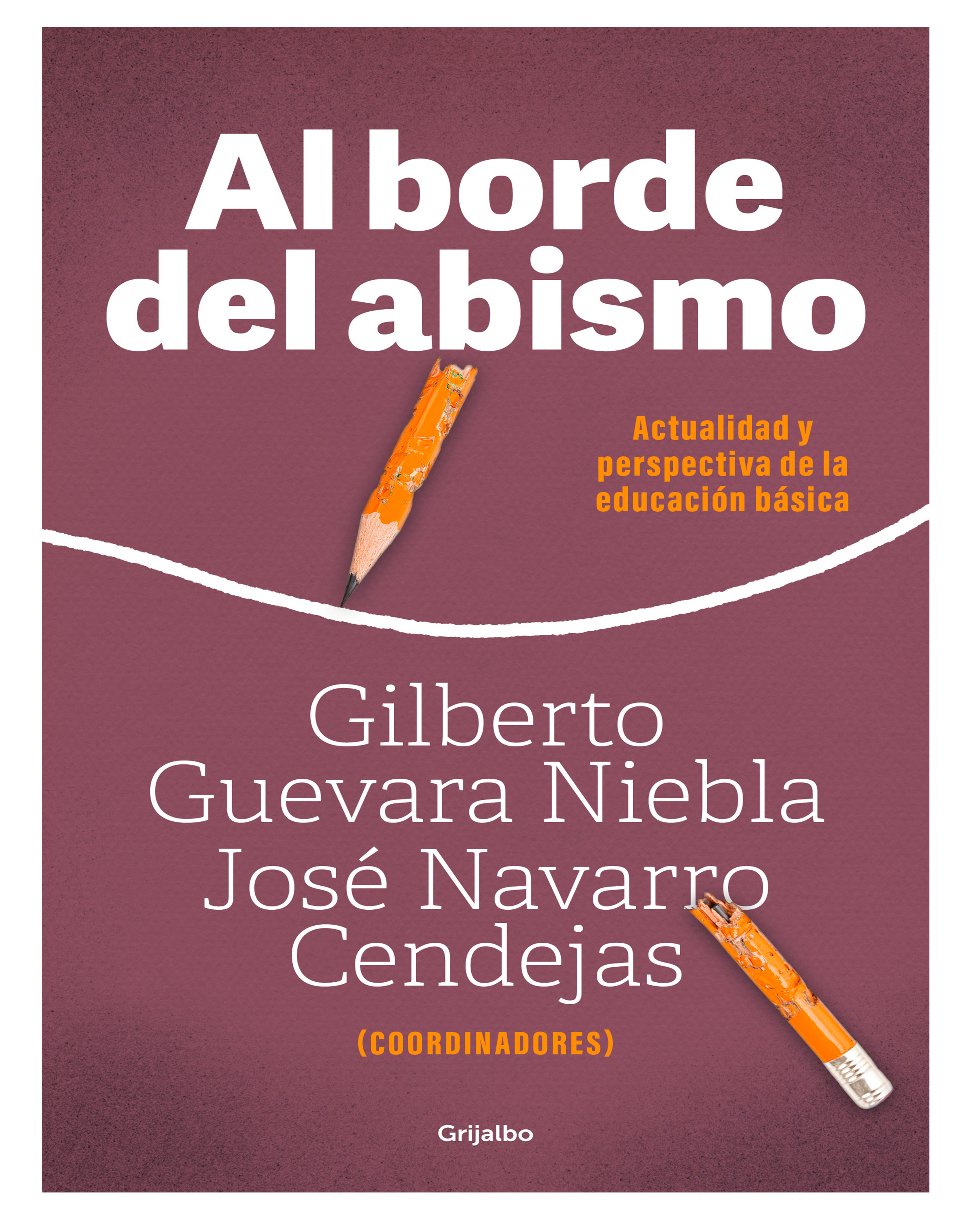 Libro Al Borde del Abismo Autor Gilbeto Gevara Niebla/Cendeja Navarro.