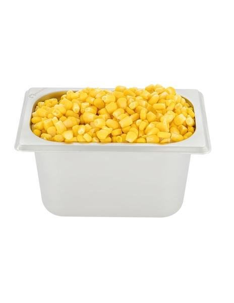 Inserto Acero Inoxidable 1/9 con tapa 6.5 cm Shorbull.