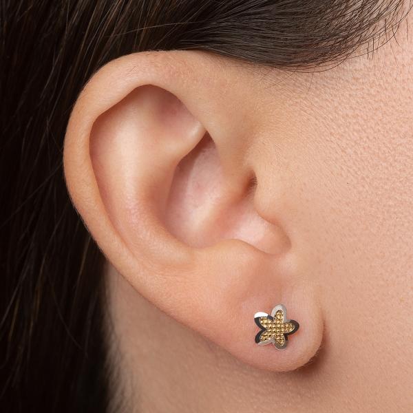 Aretes de oro 14k Mujer Broquel Estrella en nudos de oro con oro