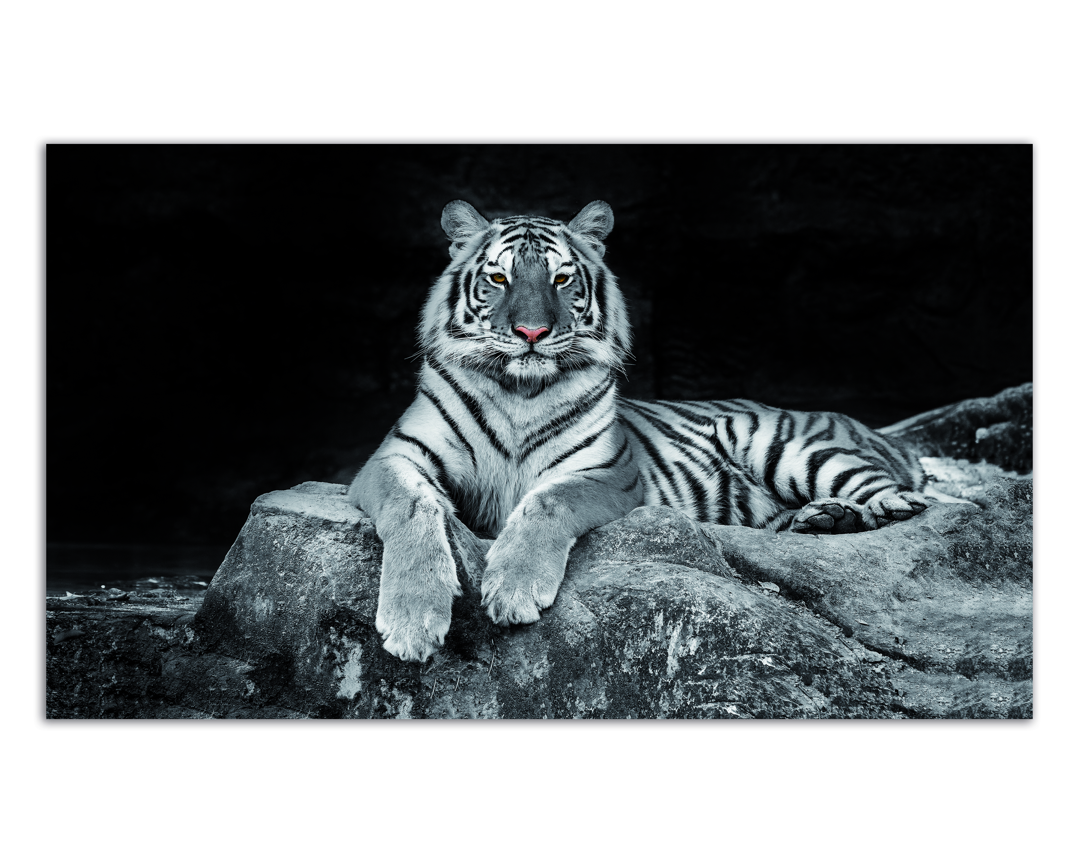 Cuadro Decorativo Acrílico Tigre en Blanco y Nego 70x120  