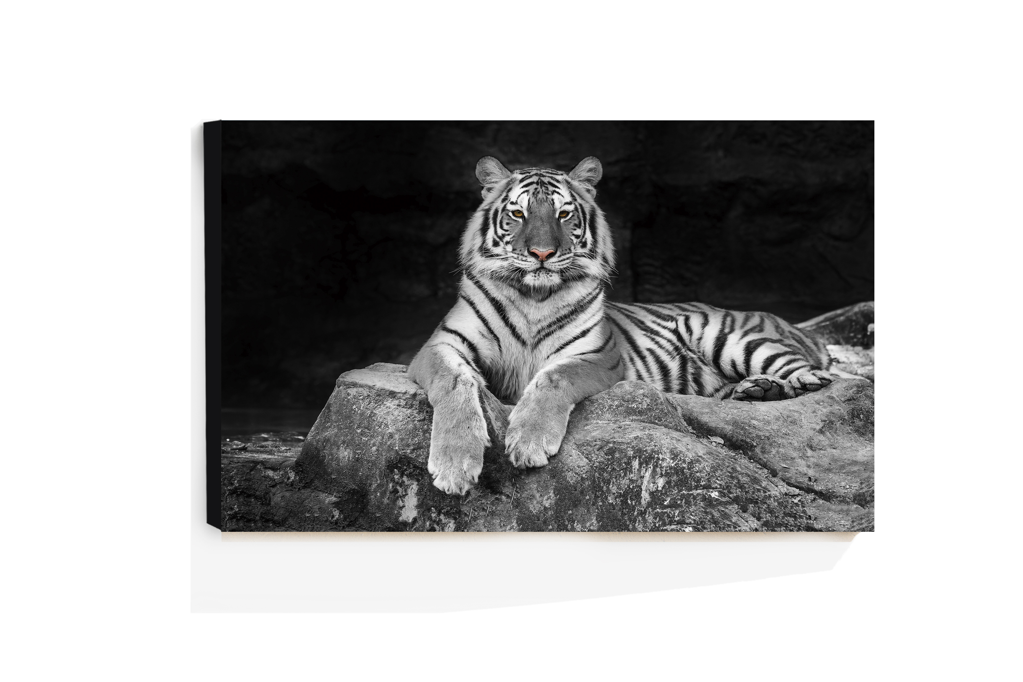 Cuadro Decorativo Acrílico Tigre en Blanco y Nego 70x120  