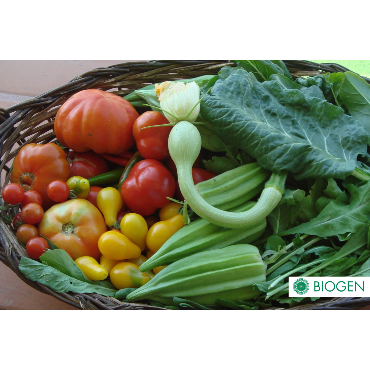 Fertilizante Orgánico Biogen Uso Directo 4lts.