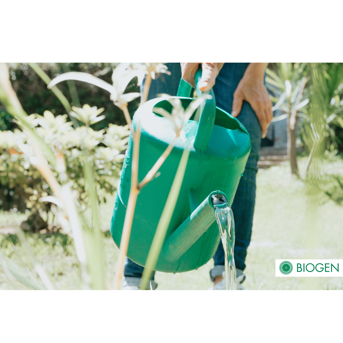 Fertilizante Orgánico Biogen Uso Directo 4lts.