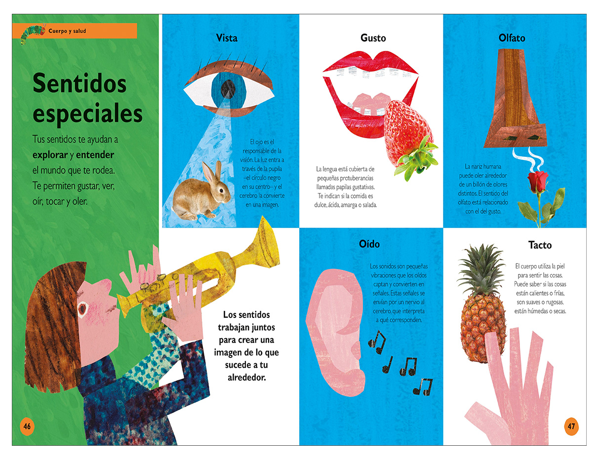 Libro La pequeña oruga glotona: Mi primera enciclopedia Autor Eric Carle.