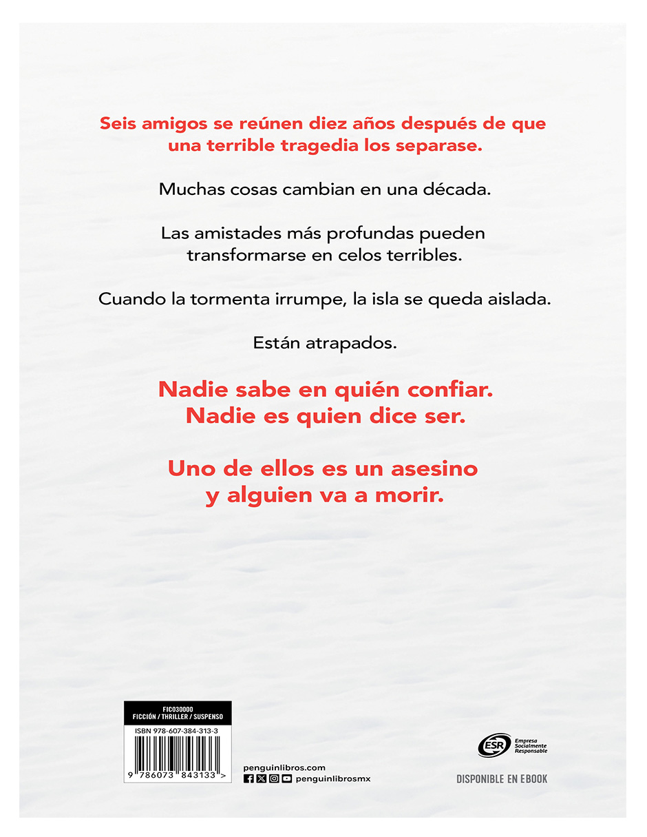 Libro La Tormenta de Nieve Autor Tríona Walsh.