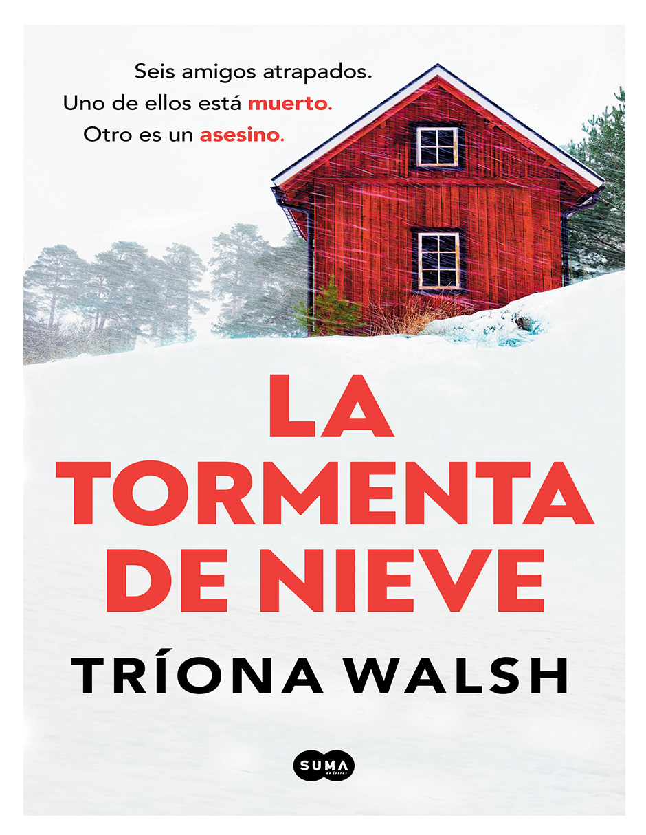 Libro La Tormenta de Nieve Autor Tríona Walsh.