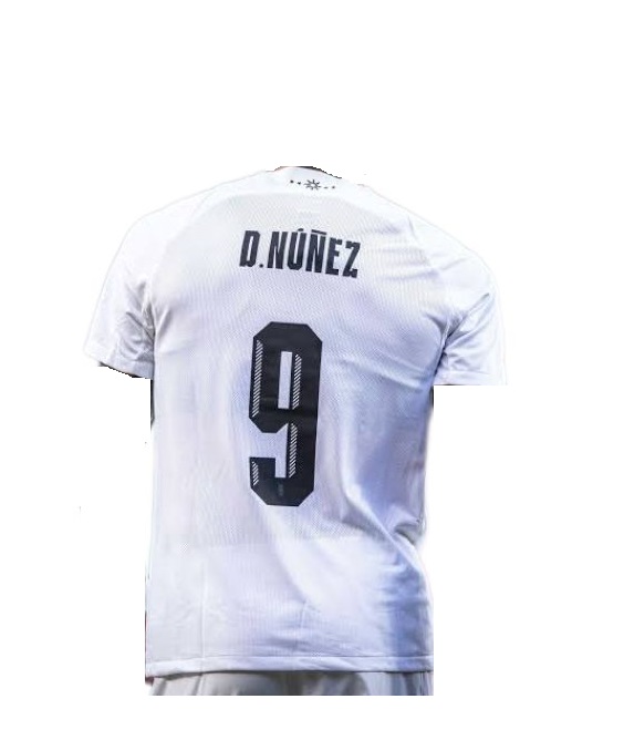 Nuevo! Jersey Uruguay 2024/2025 Visita Blanco Darwin Nuñez 9 Talla S.