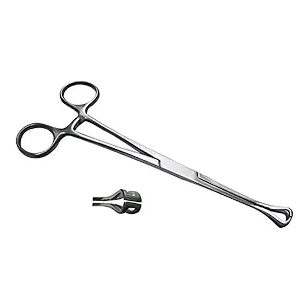Pinza Babcock 16cm Económica Acero Hergom Silvery.