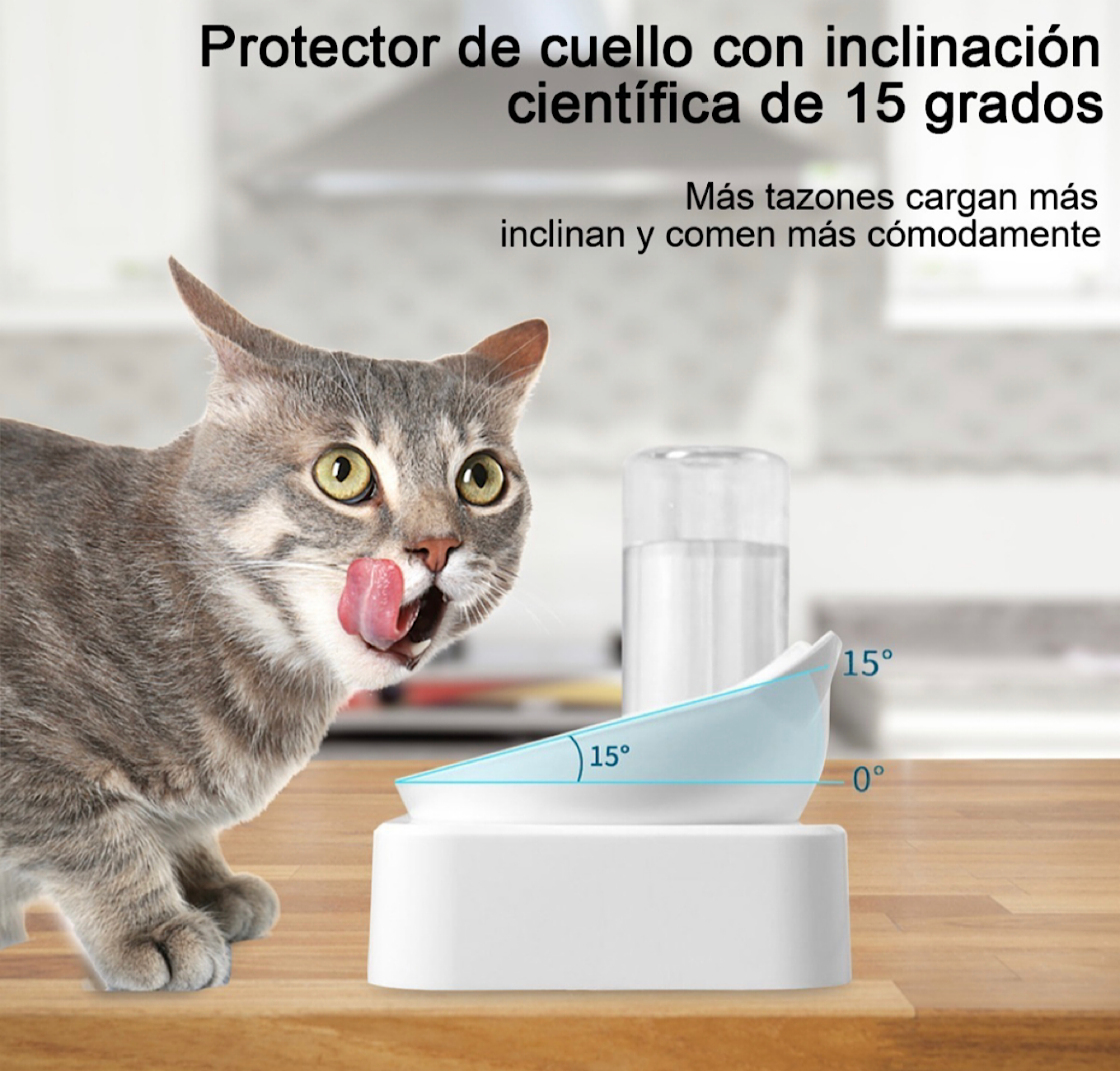 Bebedero Dispensador Automático Alimento Para Mascotas Perro